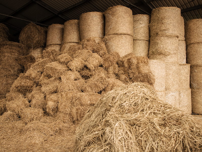 Clear-span single-arch fabric building for agricultural hay storage and livestock shelter