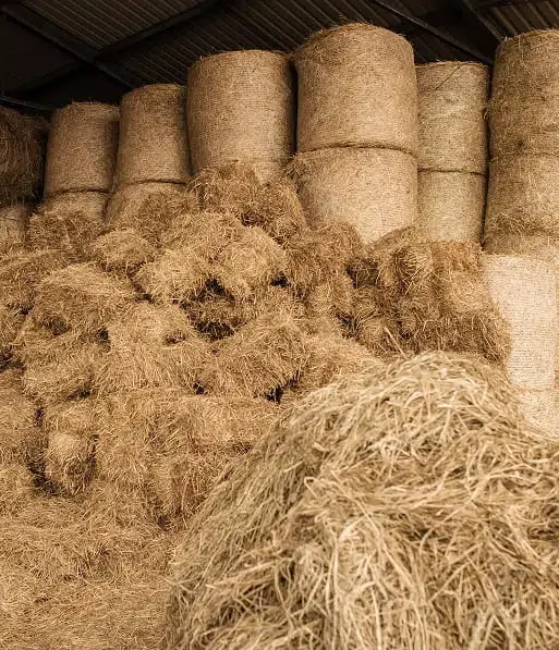 Agriculture